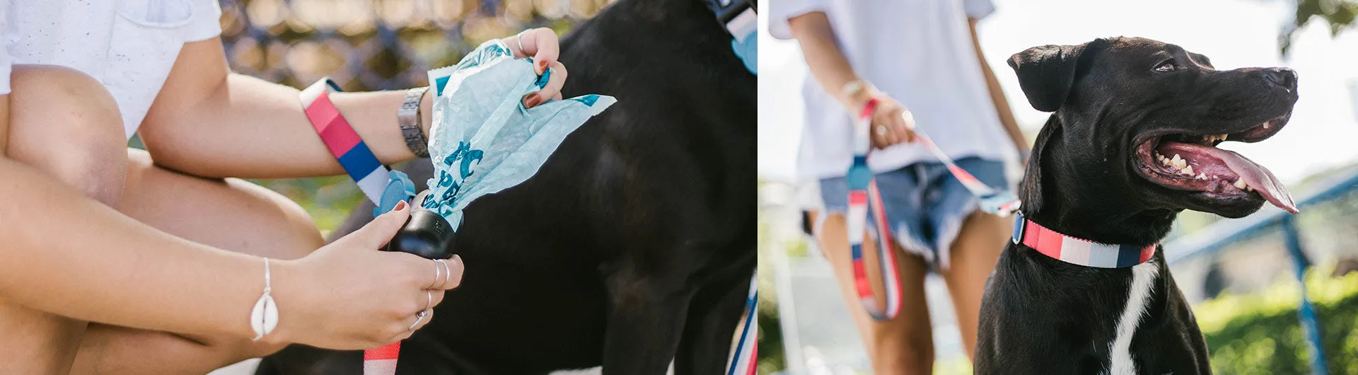Blue | Plant Based Poop Bags