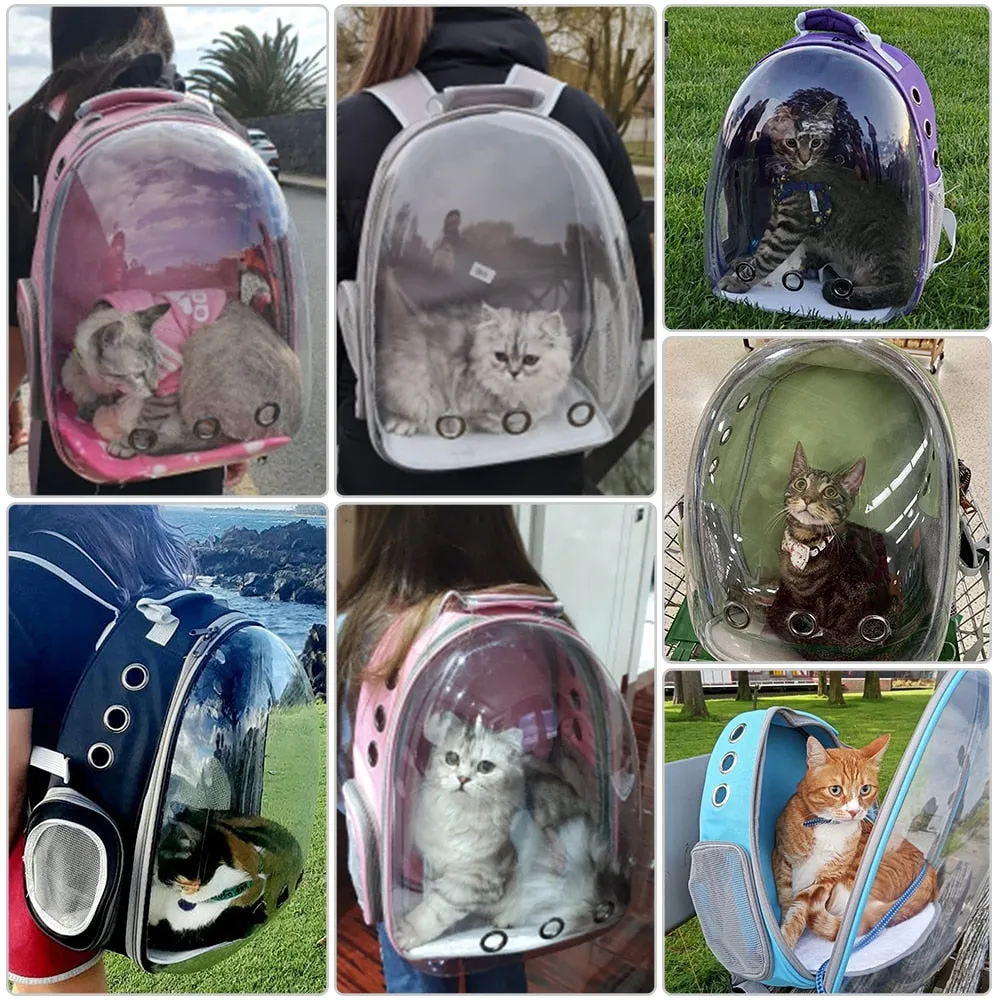 Breathable Bubble Backpack For Cats & Small Dogs