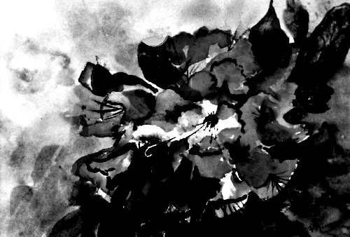 Envy Hold - B&W AZALEA